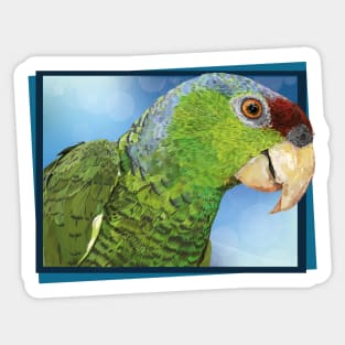 lilac-crowned parrot Sticker